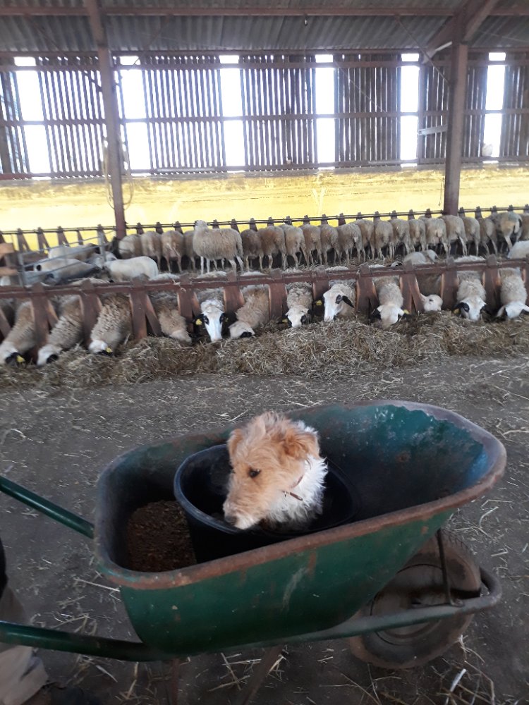 Aire camping-car � Lunegarde (46240) - Photo 2